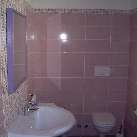 酒店 撒马尔罕达酒店